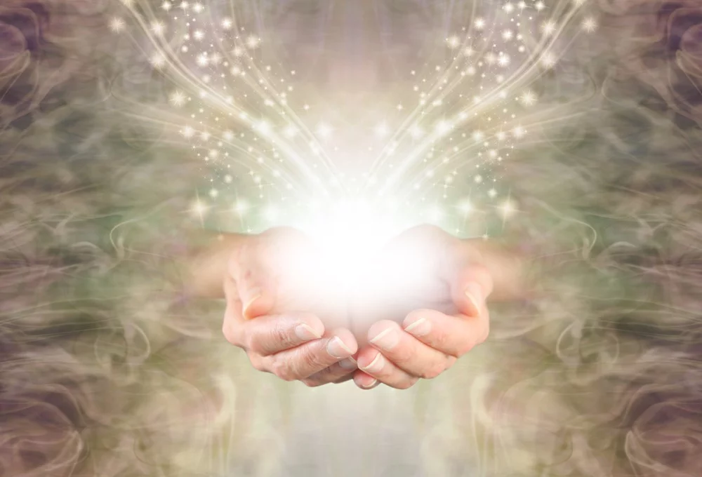 Sisska: Foto: © Nikki Zalewski / shutterstock / #1288827211
